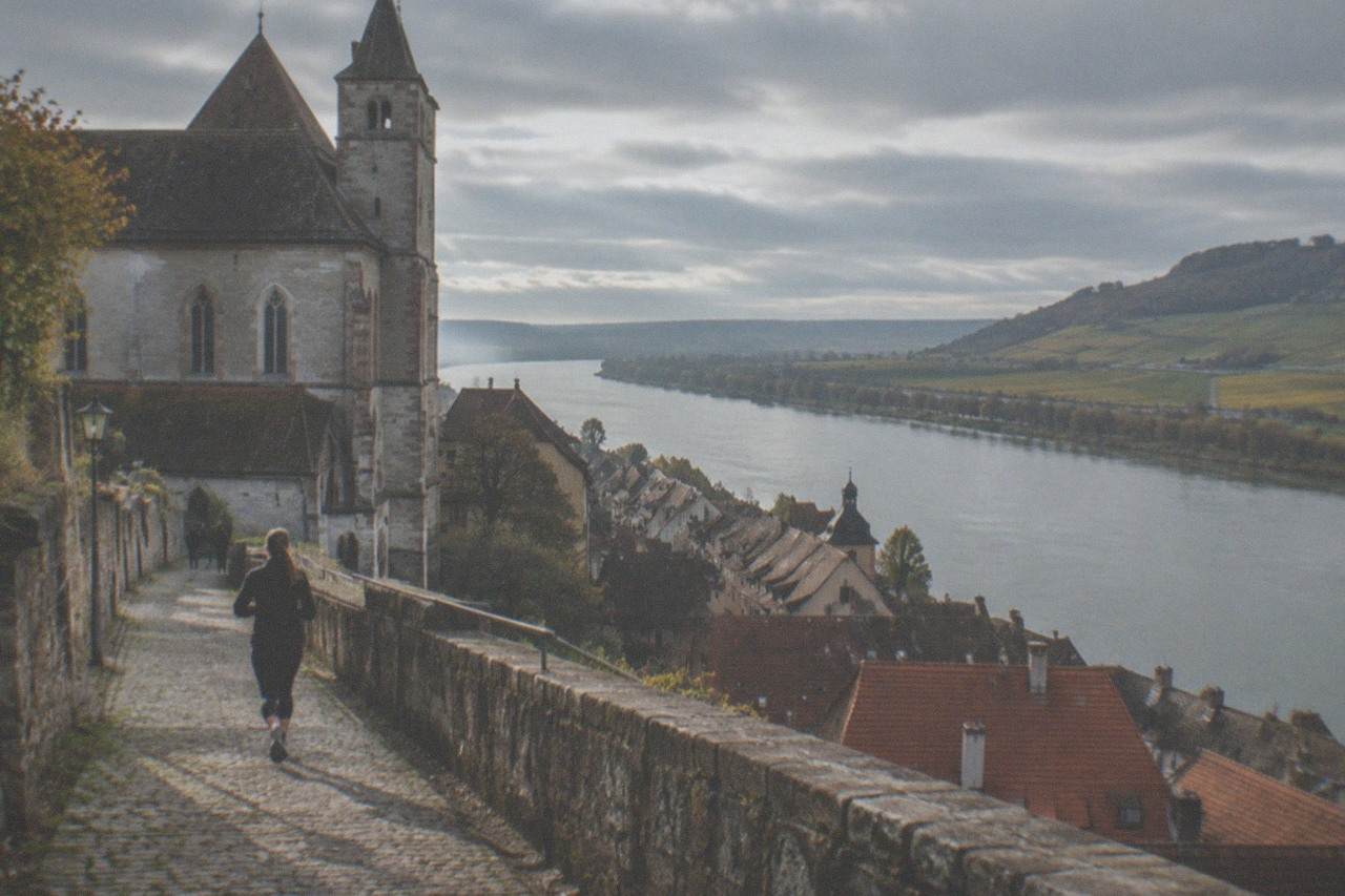 Terracotta rooftops of a small hilltop town above the Rhine with vineyard slopes on the hills beyond