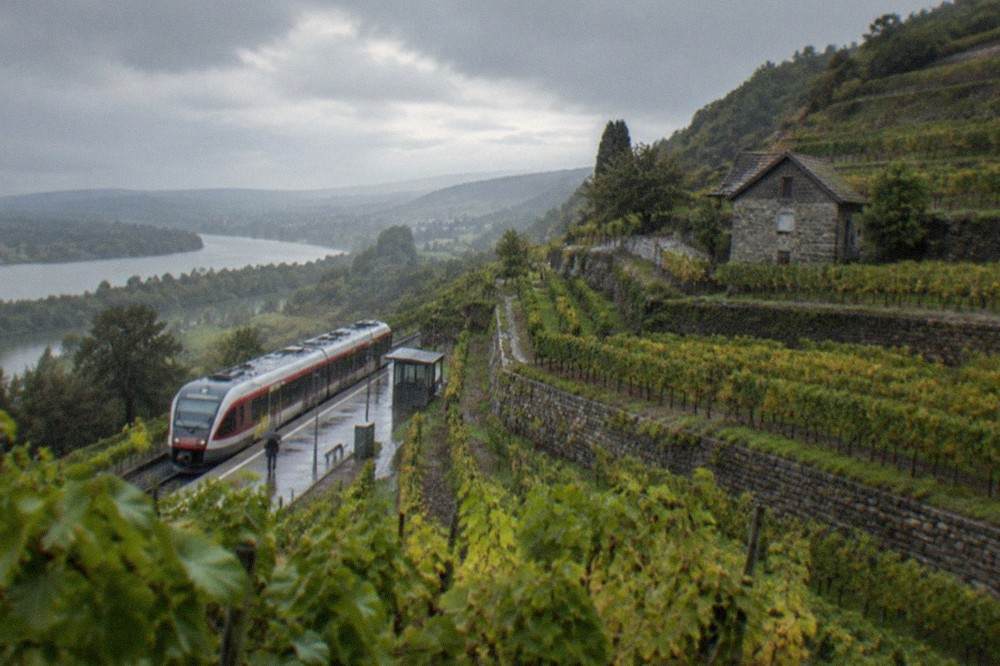 A regional train waiting at a small station beside a vineyard slope