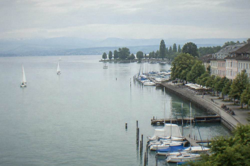Harbor promenade with pastel houses, moored boats and trees along the water