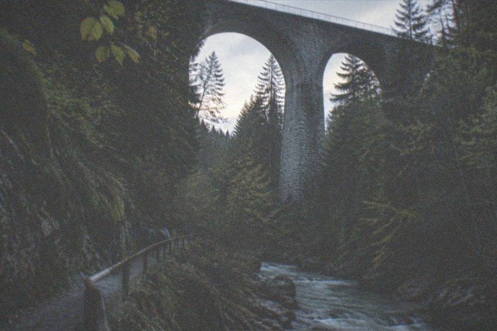 Sunlight falling through tall trees onto a narrow gorge trail