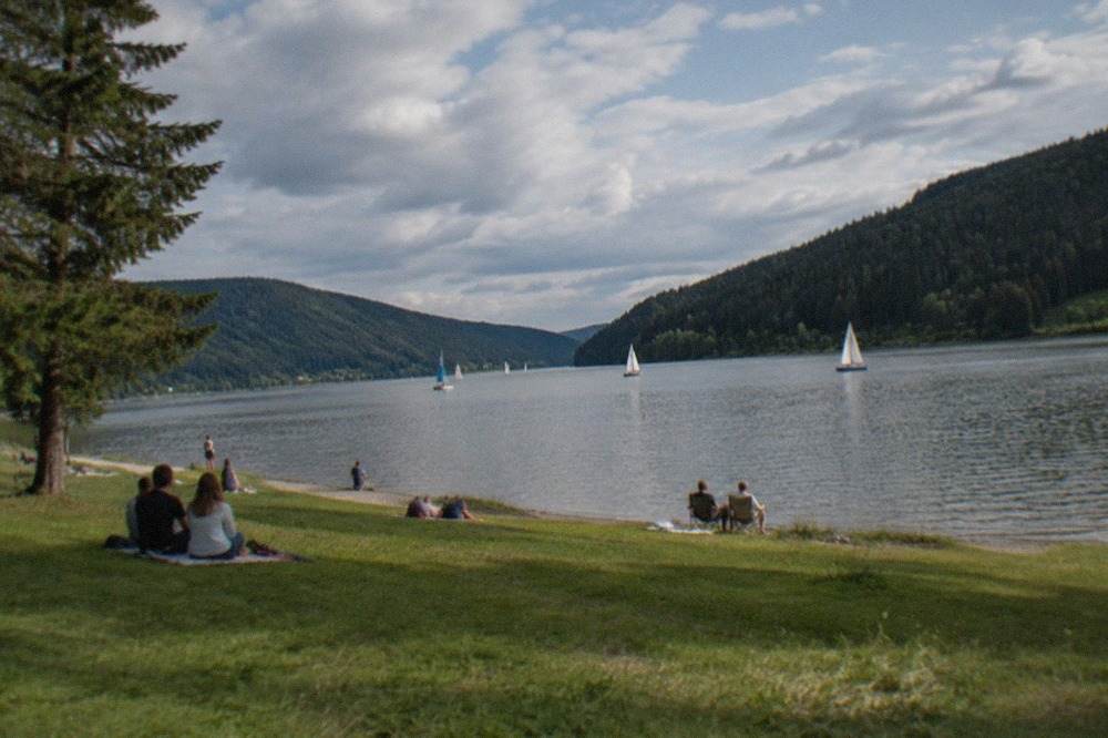 A calm reservoir lake surrounded by pine forest under a blue summer sky