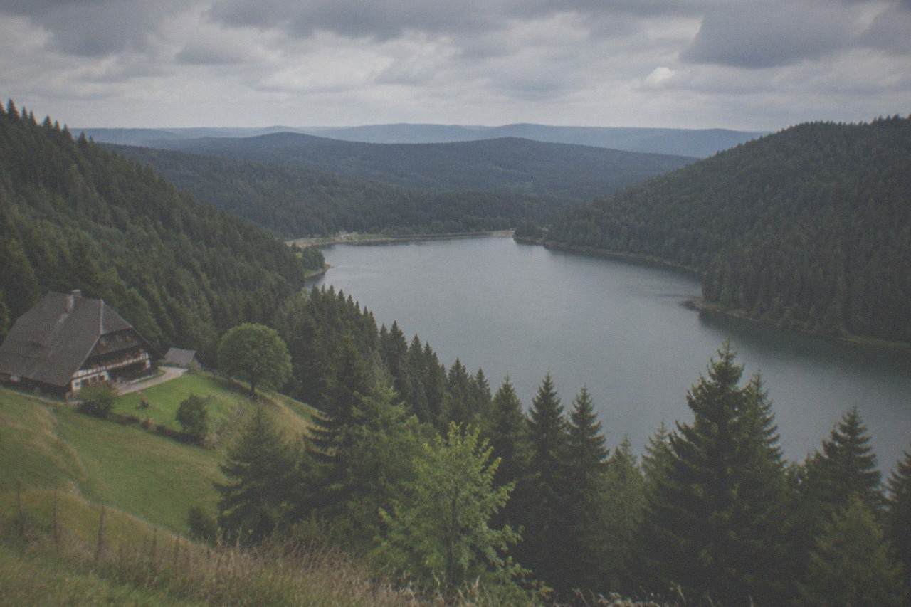 Wide view of a forest-ringed reservoir lake under a summer sky in the southern Black Forest