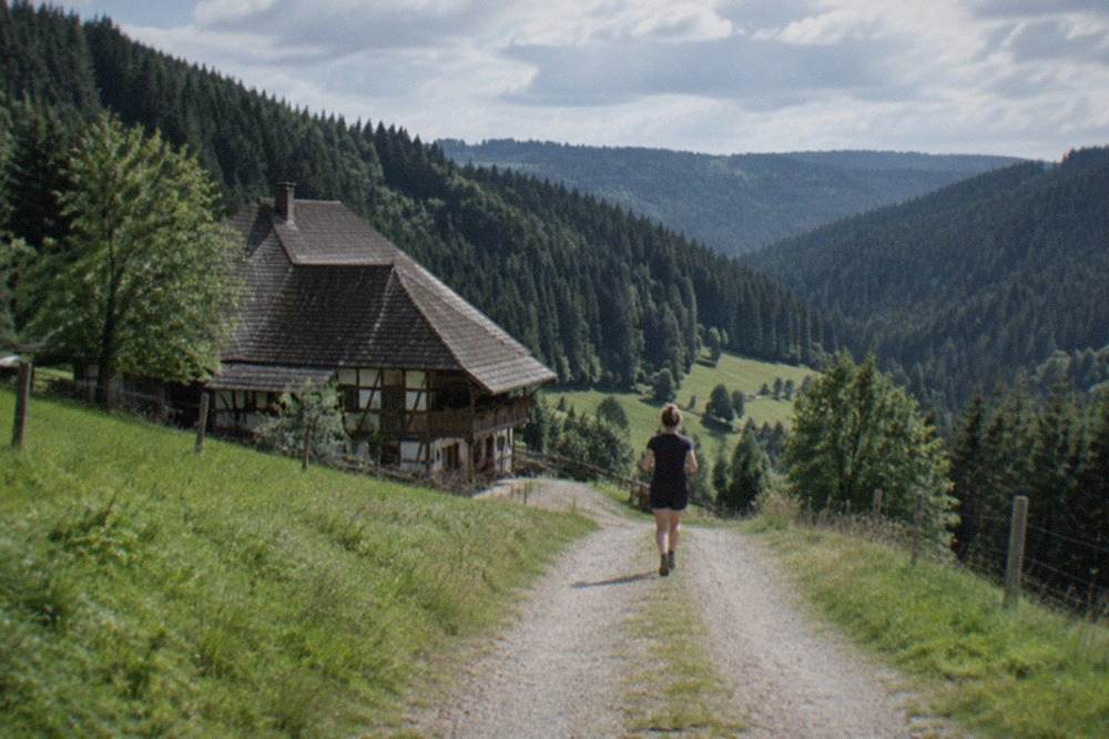 A quiet Black Forest valley with farm meadows and dense fir covered slopes under a blue sky