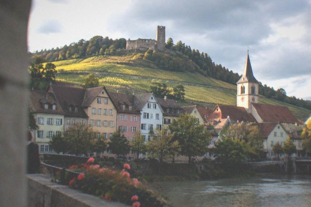 Golden evening light on vineyard slopes and a church tower above a small German town