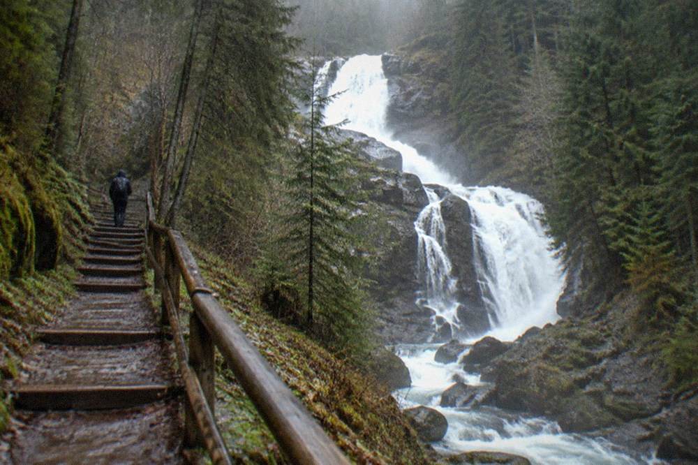 Stepped wooden boards climbing a damp gorge trail beside rushing white water