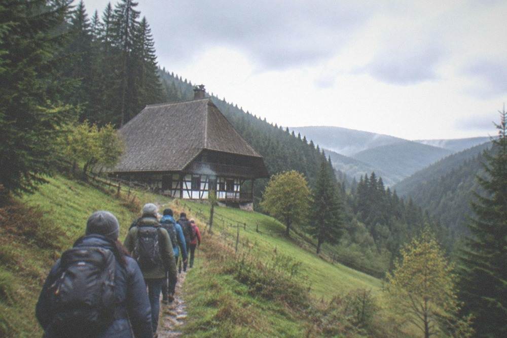 Group of walkers following a forest guide along a narrow Black Forest trail