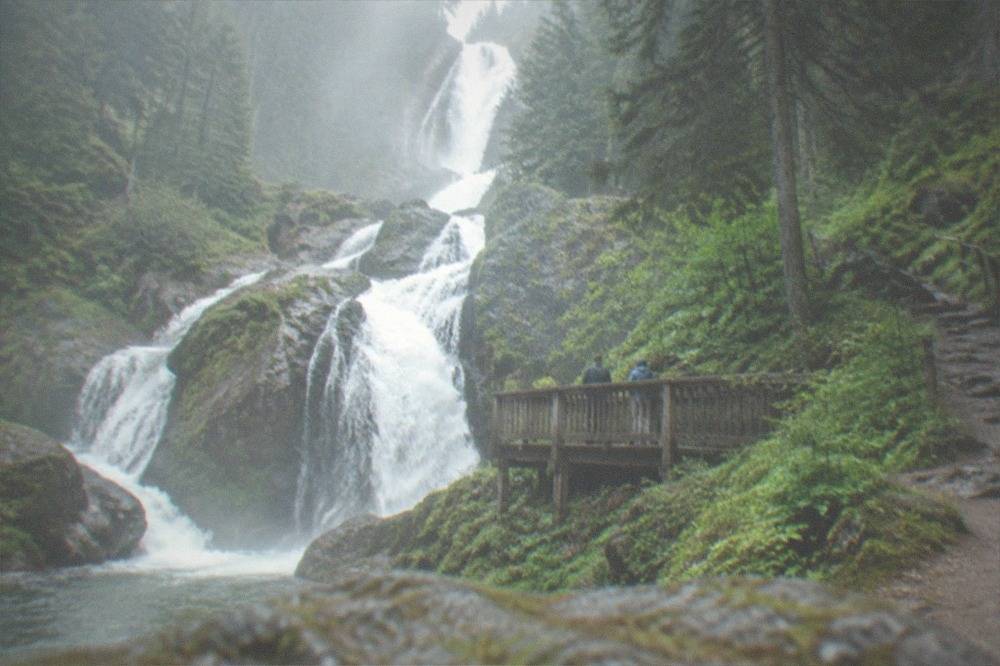 Forest trail climbing beside a stream between tall firs