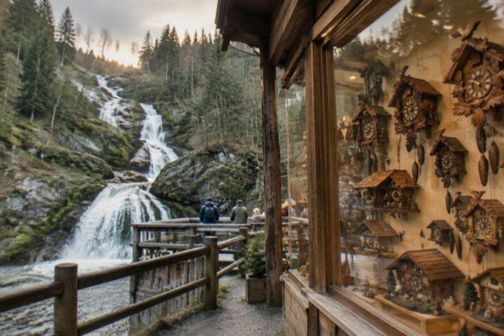 Shop window displaying carved wooden cuckoo clocks in a range of sizes above a timber storefront.
