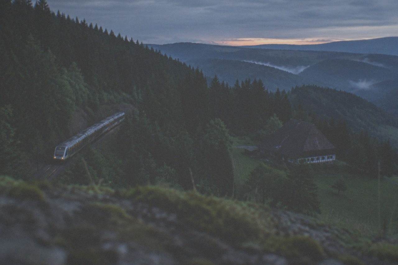 A regional train curving through dense Black Forest pines on a hillside line
