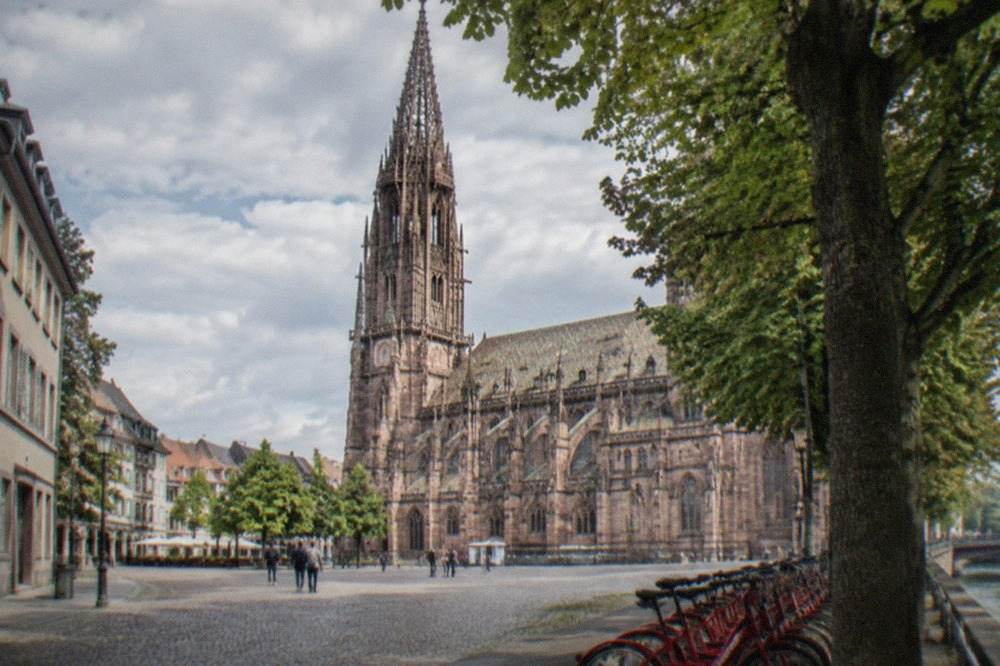 Row of red rental bicycles parked beside a tree-lined street in Freiburg