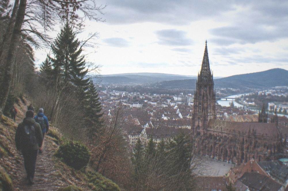 Hikers on a narrow forest path above Freiburg with the city rooftops and cathedral spire below