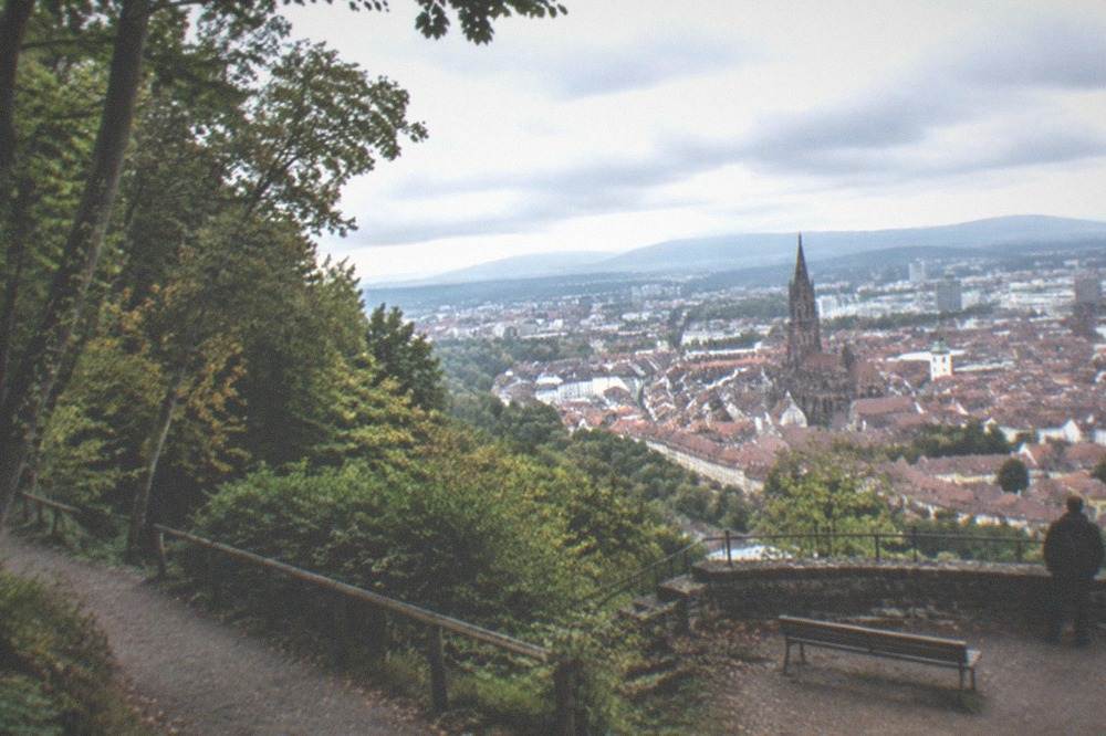 Wooded Schlossberg hillside rising directly above Freiburg's old town rooftops