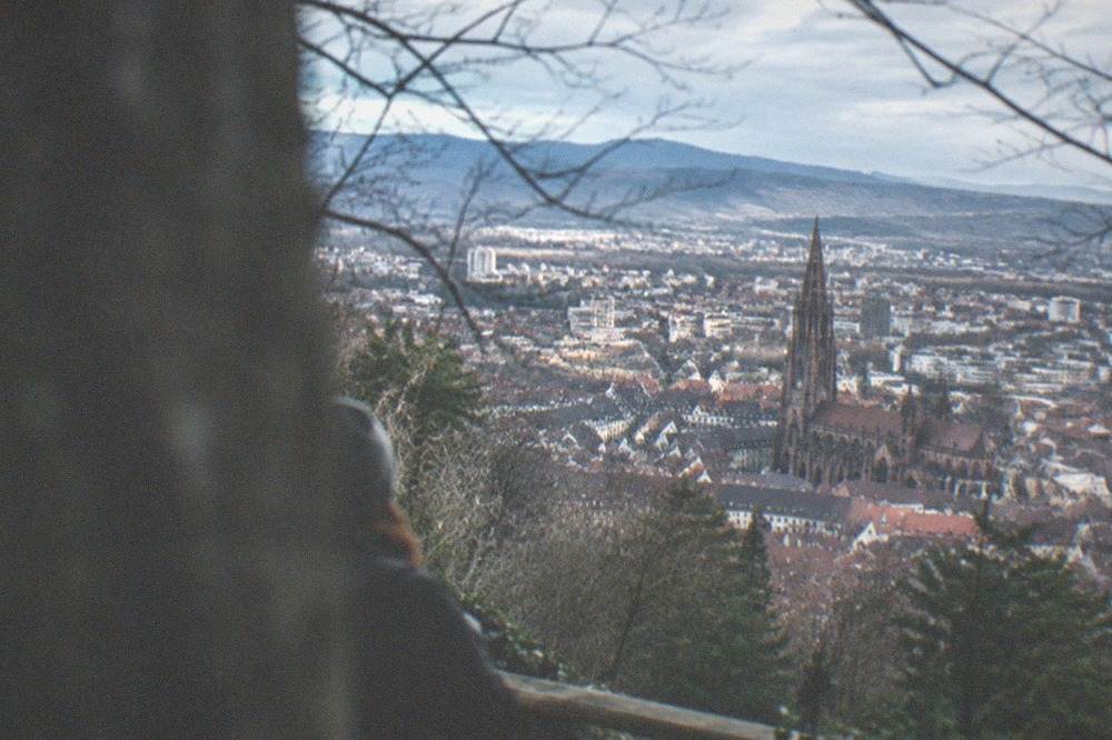 View over Freiburg rooftops from the Schlossberg hill with the minster tower below