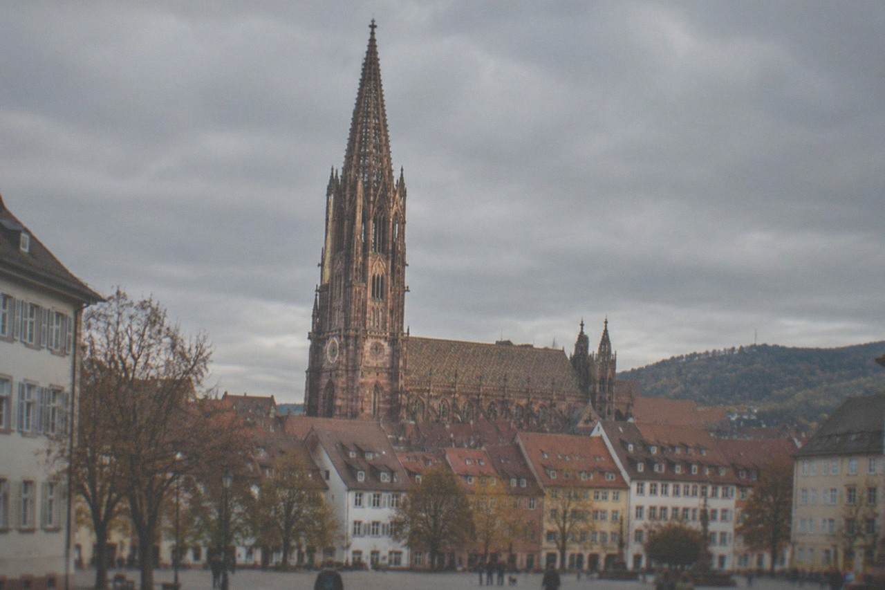 Freiburg Minster tower rising above red rooftops in warm late afternoon light
