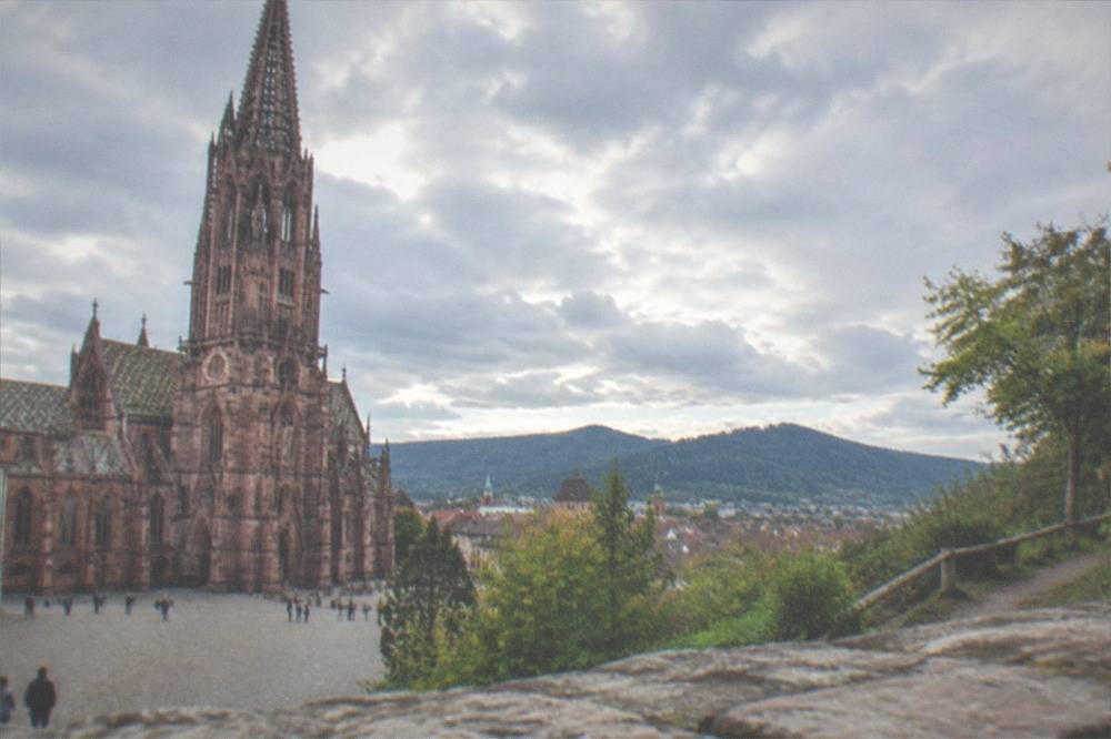 Forest hiking trail above Freiburg with a view over rooftops toward the Black Forest hills