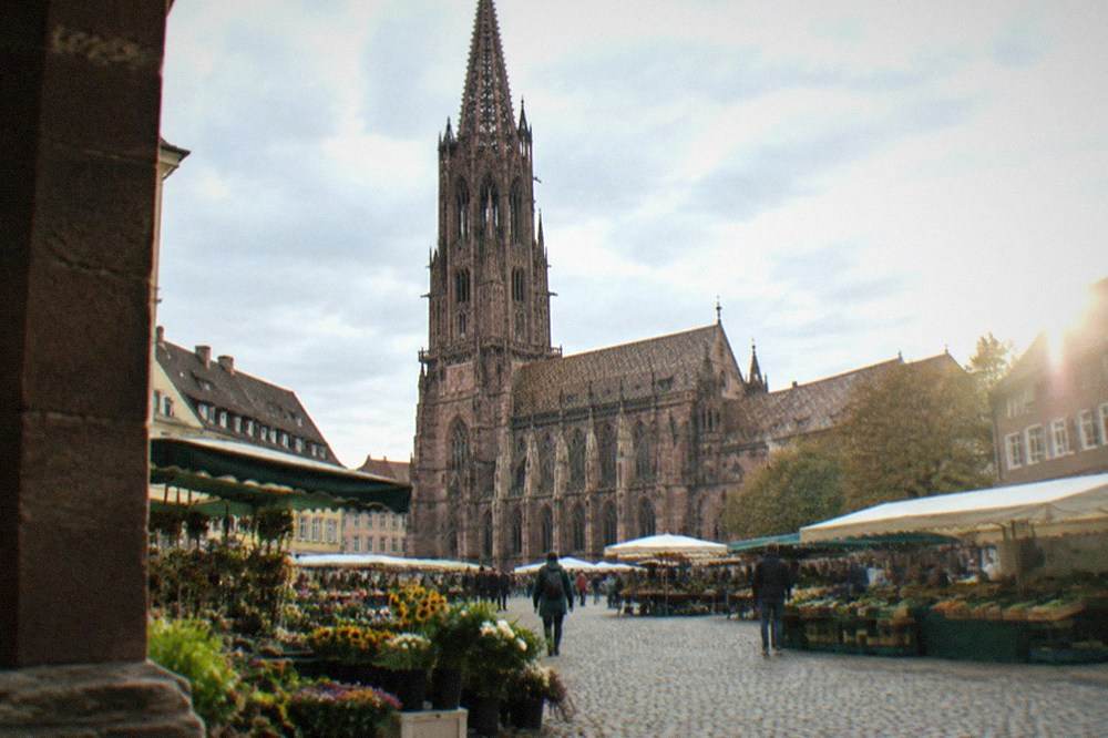 Market stalls with flowers and regional produce beside Freiburg Minster
