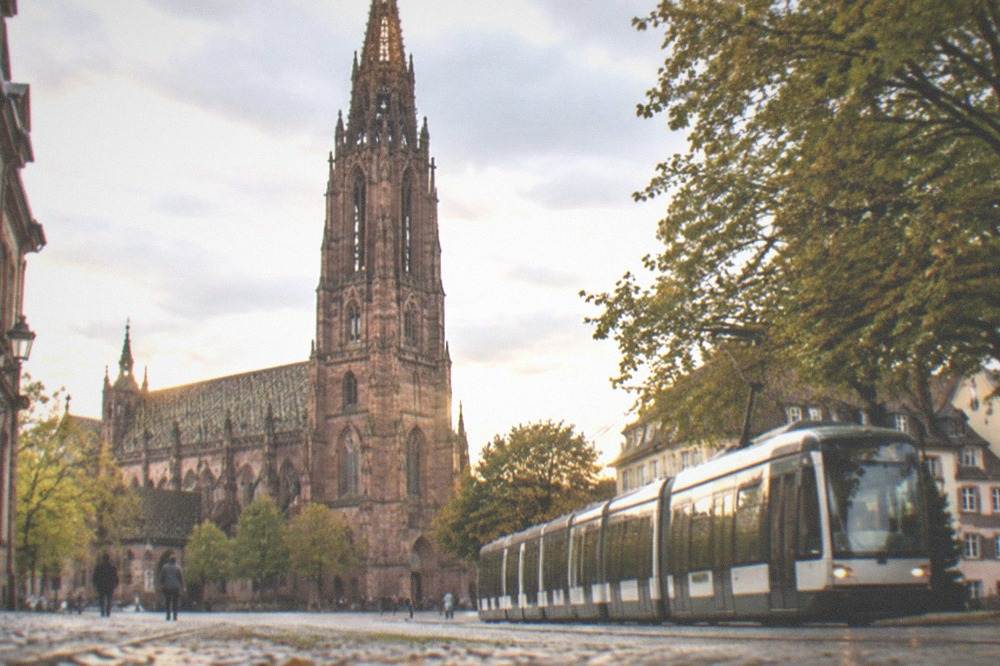 Tram running through a leafy street with old buildings behind it