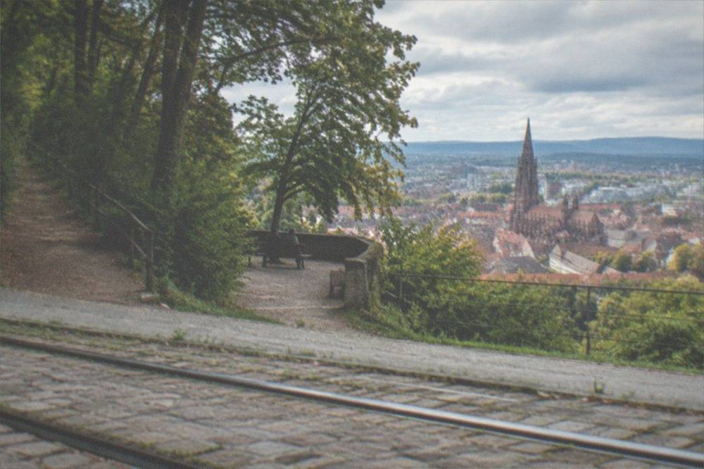 Forest path at the edge of a town with tram tracks in the foreground