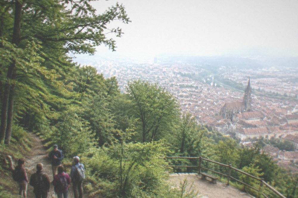 Small group of hikers listening to a guide on a forest path