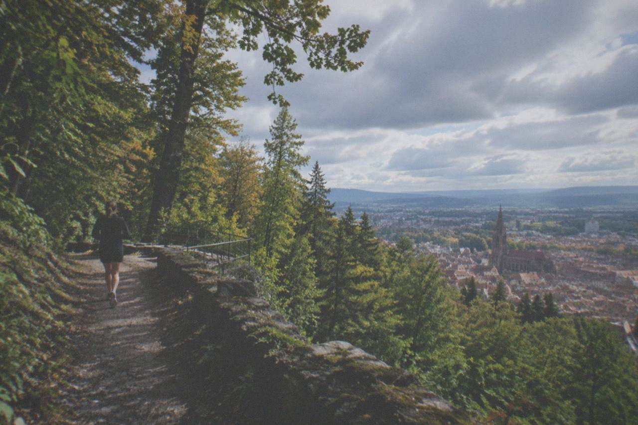 Forest trail climbing a ridge above the Rhine valley