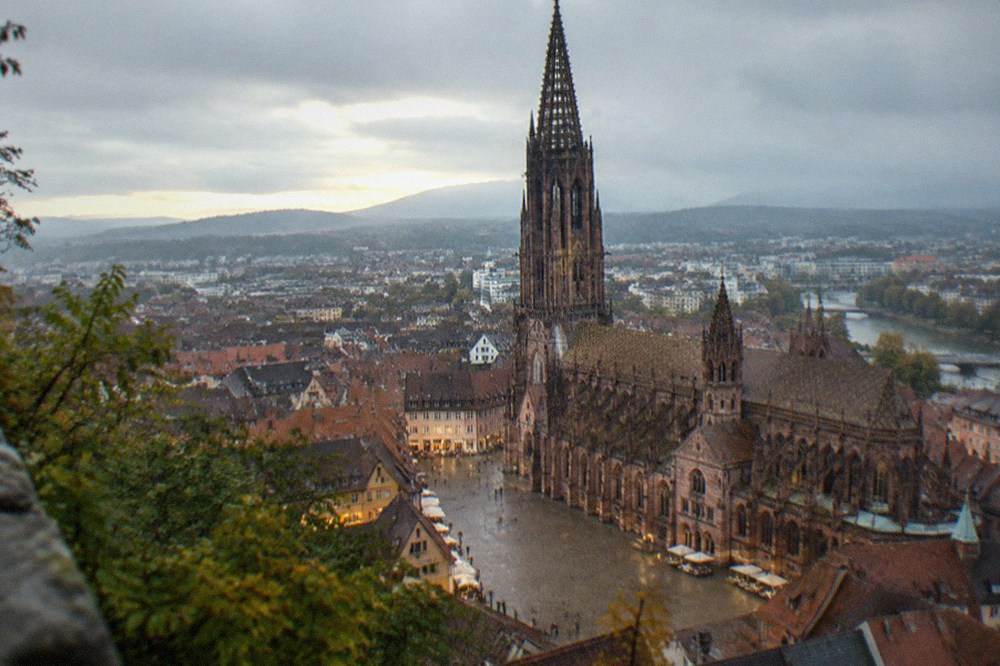 Evening light on the Freiburg old town rooftops seen from a hillside viewpoint