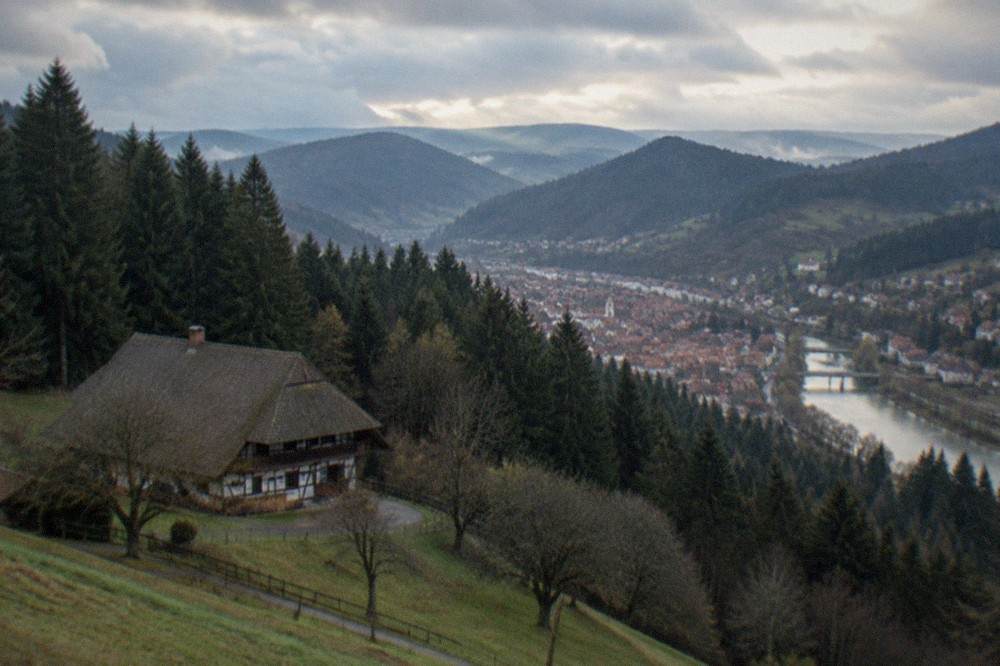 Red rooftops of the old town with the Black Forest hills rising behind the city