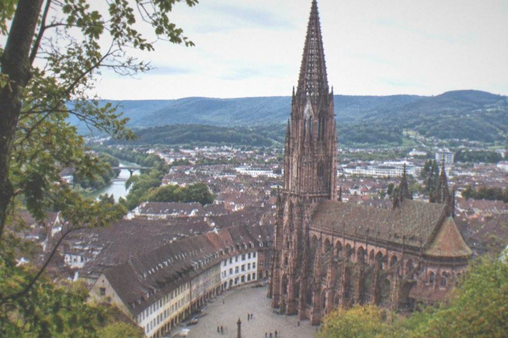 Wooded hillside path above Freiburg with a view over rooftops toward the Black Forest hills