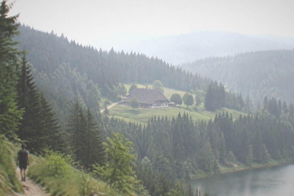 Forest trail above a lake in the Black Forest near Freiburg