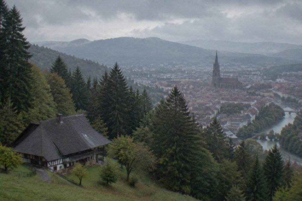 View from a forested ridge over Freiburg's rooftops with the Münster tower in the distance
