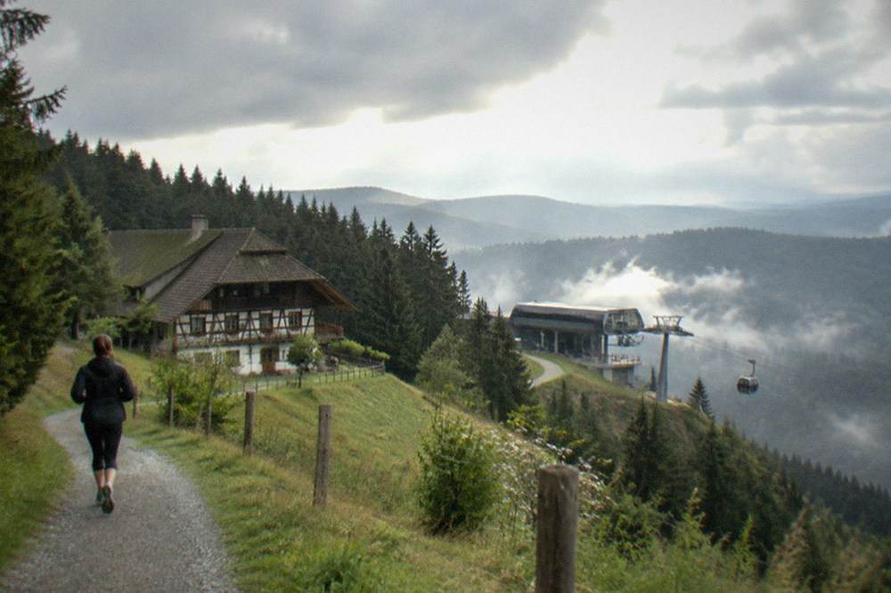 A mountain cable car station with tall fir trees and mist over the valley below
