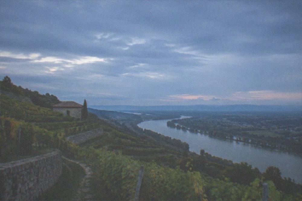 Terraced vineyards on the Kaiserstuhl slopes with the Rhine plain fading toward distant blue hills