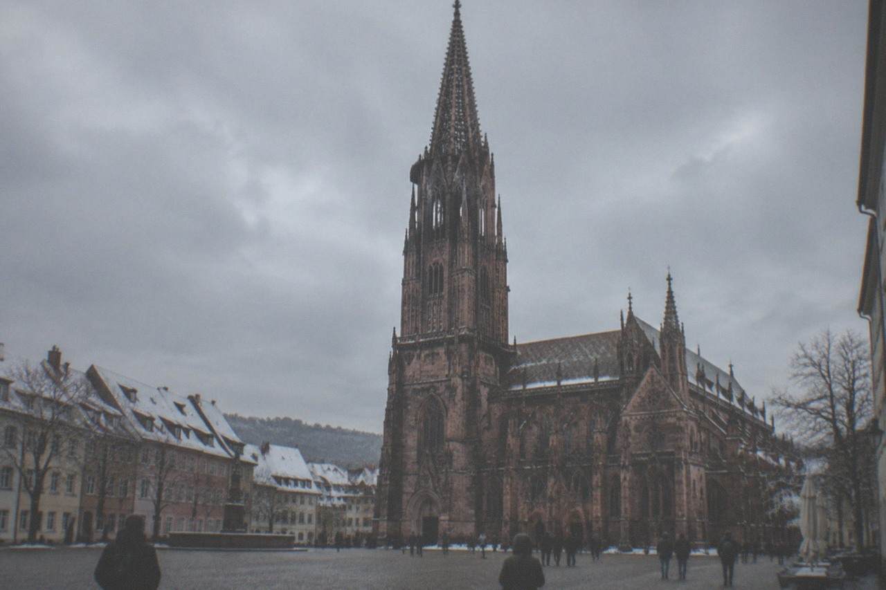 Snow-dusted rooftops around the Freiburg Münster under a pale winter sky