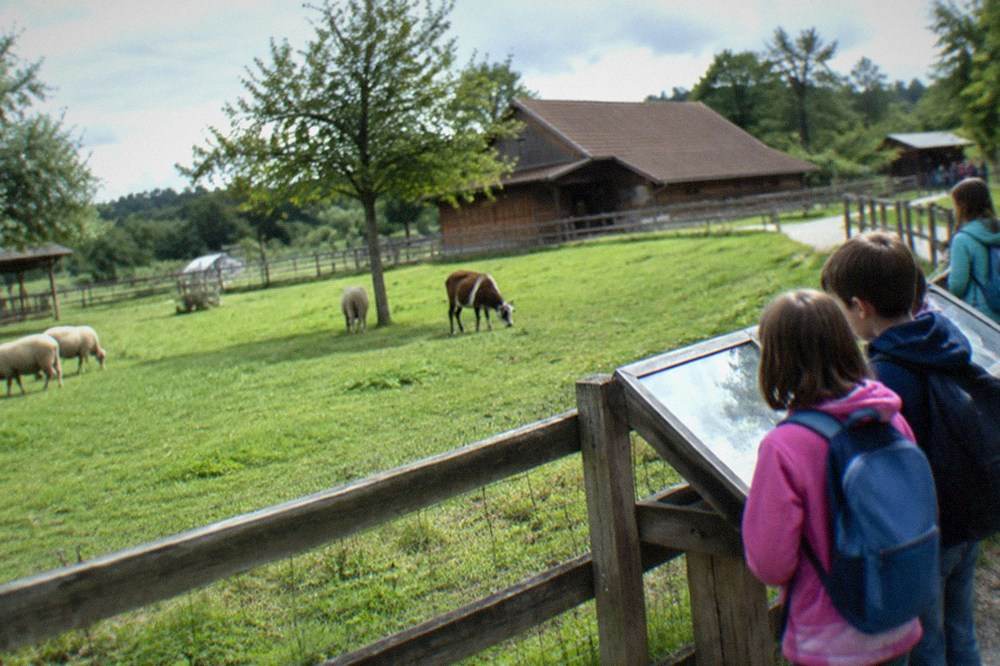 Children looking at display cases inside a bright museum gallery with stone arches