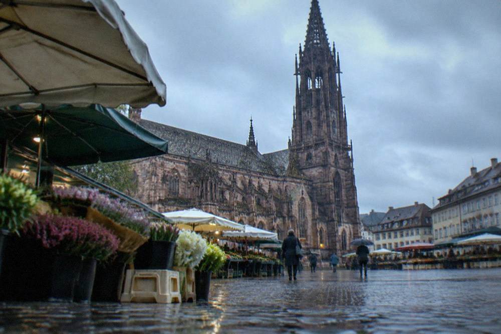 Market stalls under umbrellas beside Freiburg minster on a wet morning with the stone tower behind