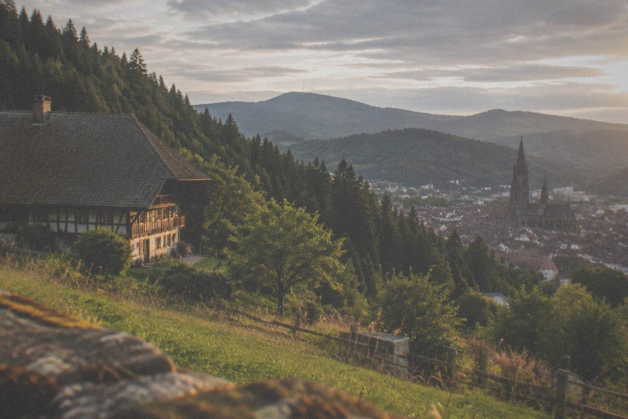 Freiburg Minster tower rising above red rooftops with the Black Forest hills in the background